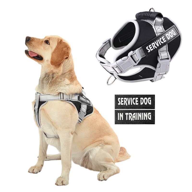 service dog training dog vest style